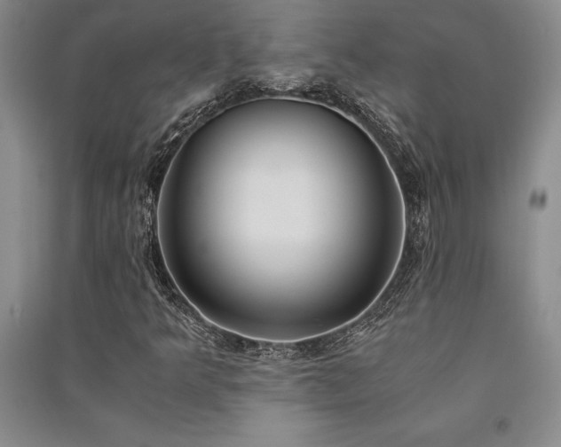 X0000091521349200708171208