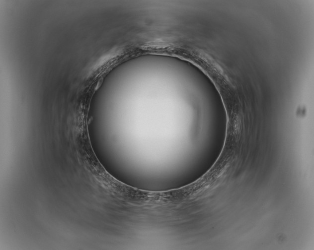 X0000091521350200708171208