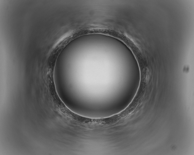 X0000091521351200708171208