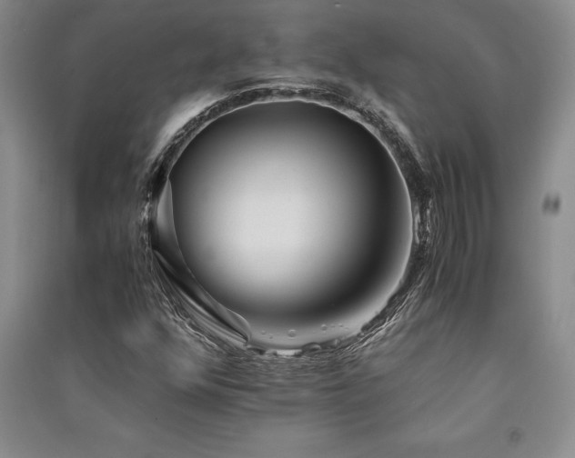 X0000091521352200708171208