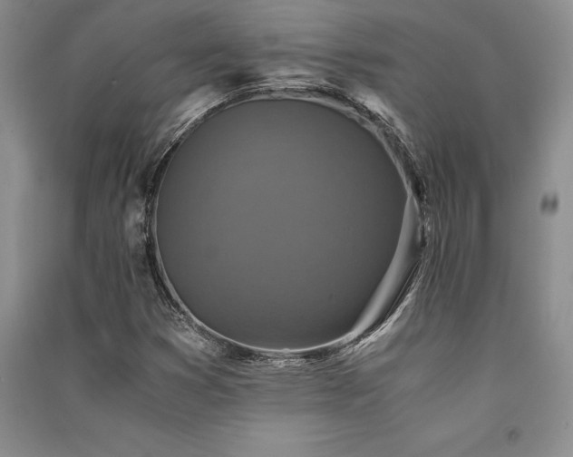 X0000091521353200708171208
