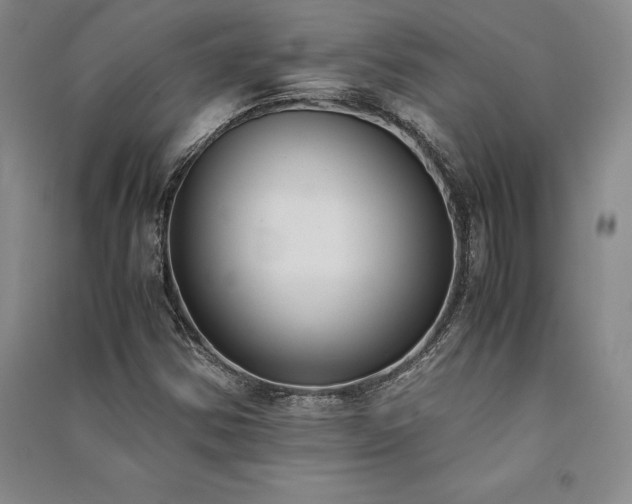 X0000091521354200708171208