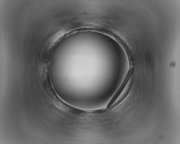 X0000091521355200708171208