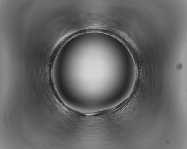 X0000091521356200708171208