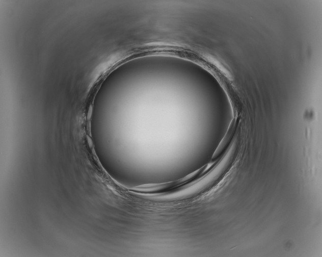 X0000091521357200708171208