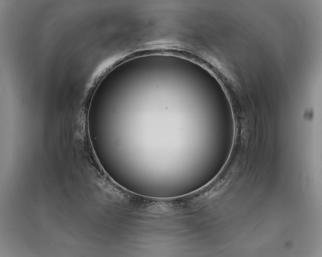 X0000091521358200708171208