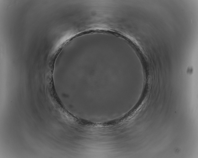 X0000091521359200708171208