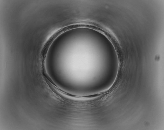 X0000091521360200708171208