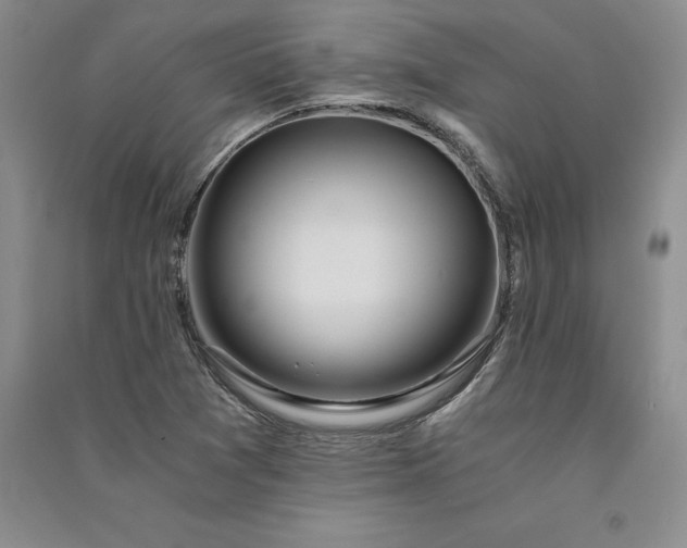 X0000091521361200708171208