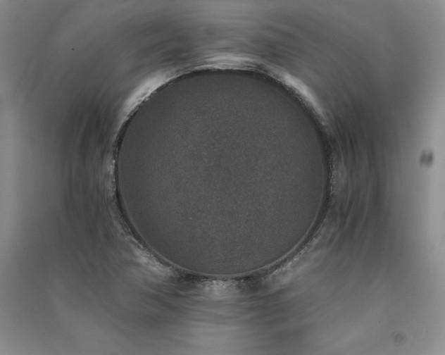 X0000091521362200708171208