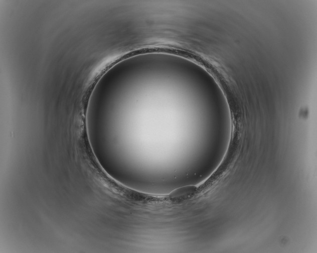X0000091521363200708171208