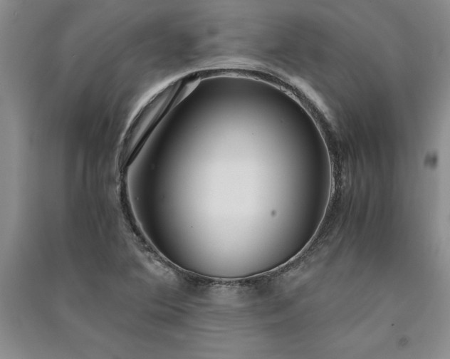 X0000091521364200708171208