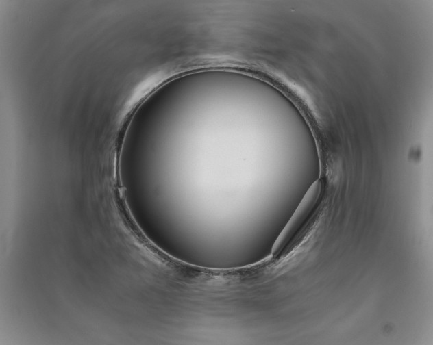 X0000091521365200708171208