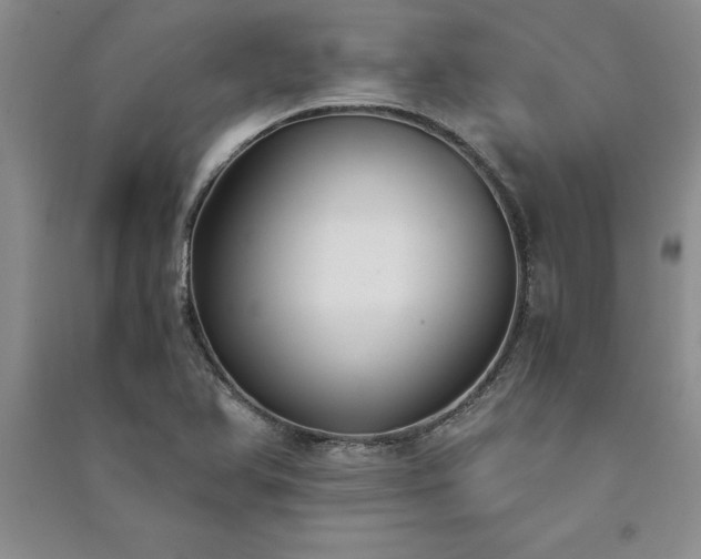 X0000091521366200708171208