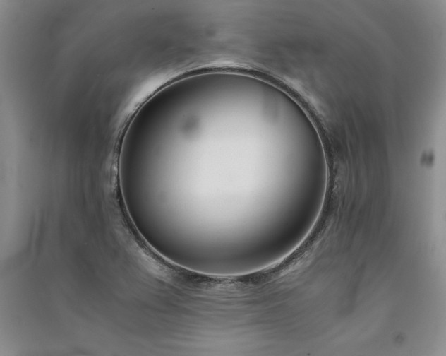 X0000091521367200708171208