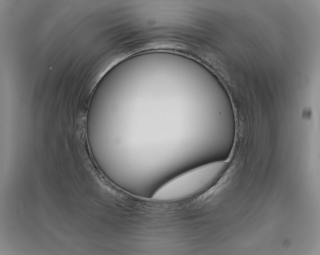 X0000091521369200708171208
