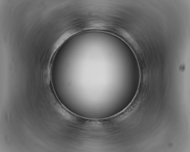 X0000091521370200708171208
