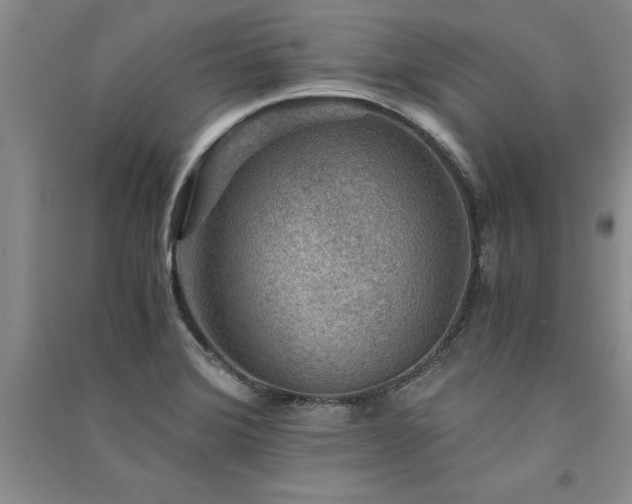 X0000091521372200708171208