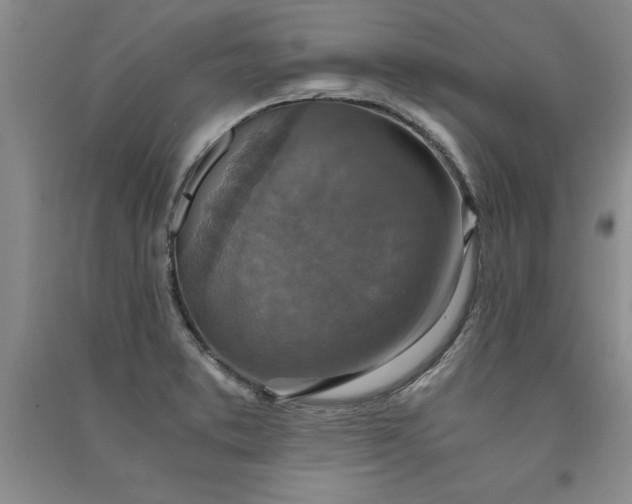 X0000091521373200708171208