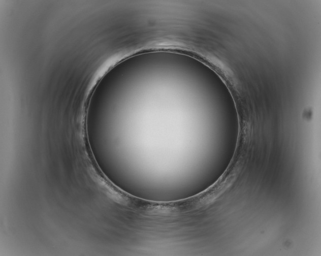 X0000091521374200708171208