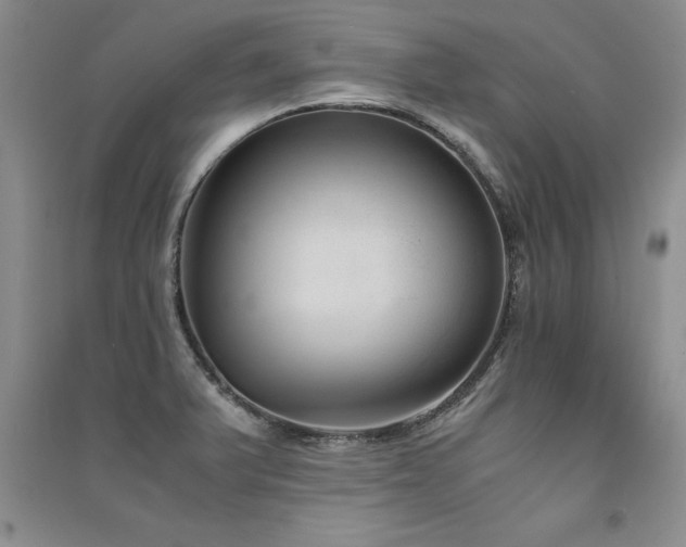 X0000091521375200708171208