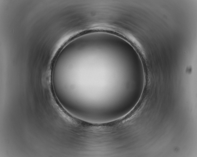 X0000091521376200708171207