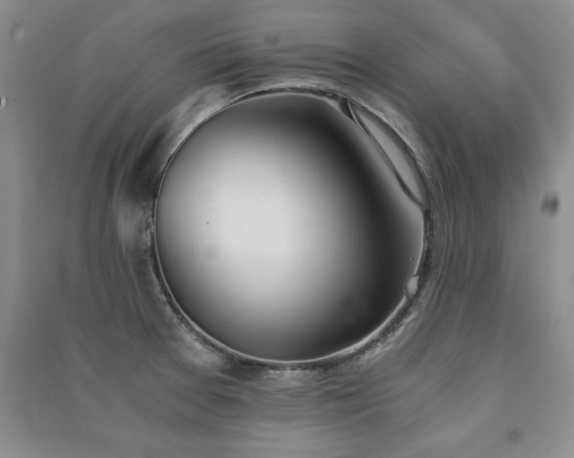 X0000091521377200708171207