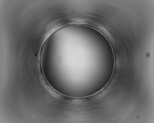 X0000091521378200708171207