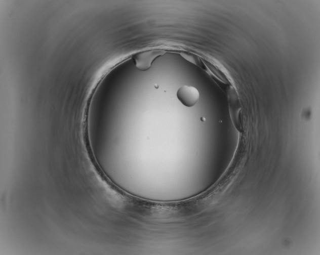 X0000091521379200708171207