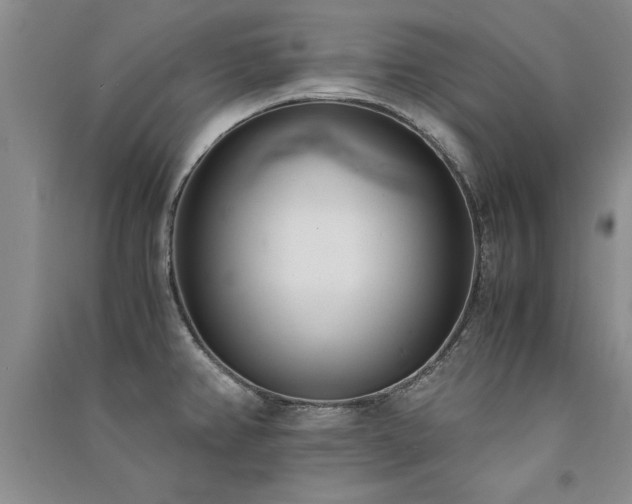 X0000091521382200708171207