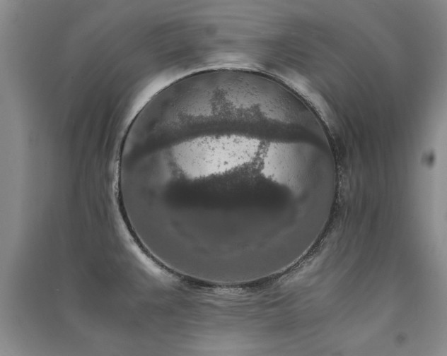 X0000091521383200708171207