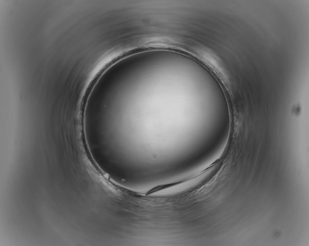 X0000091521384200708171207