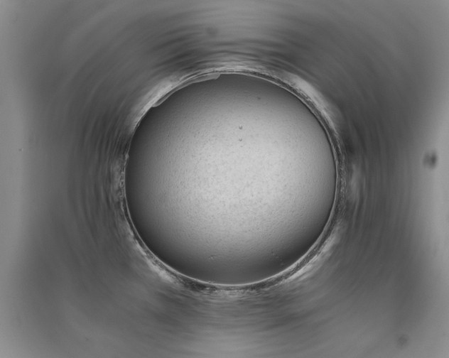 X0000091521385200708171207