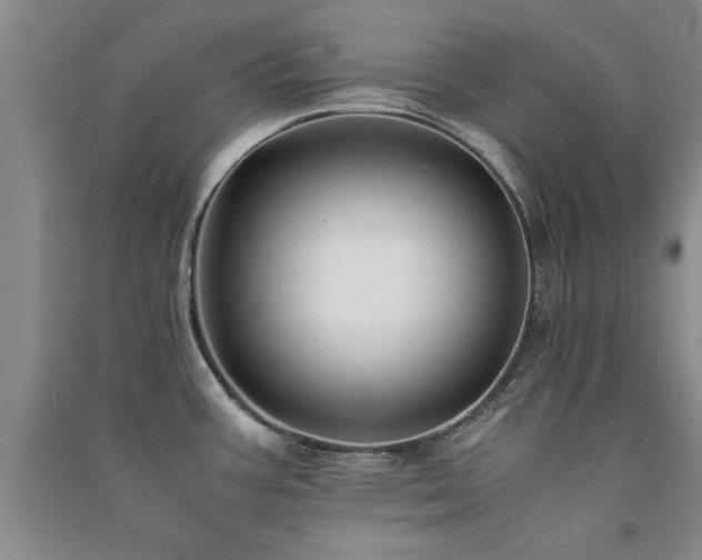 X0000091521387200708171207
