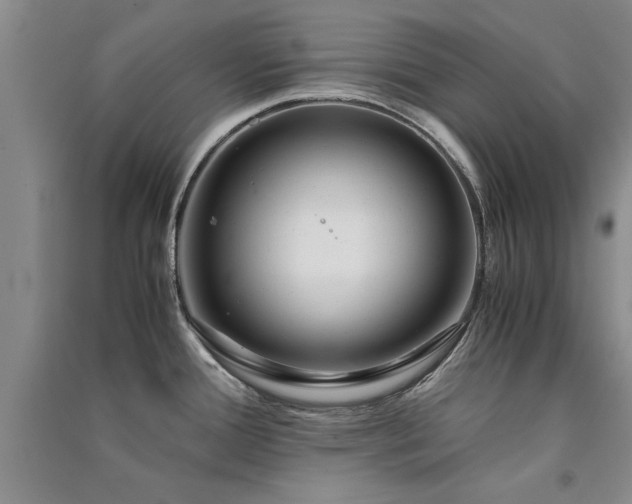 X0000091521388200708171207