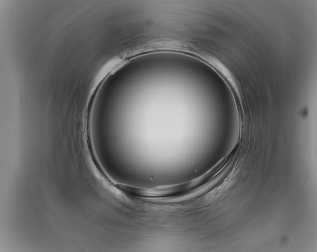 X0000091521389200708171207