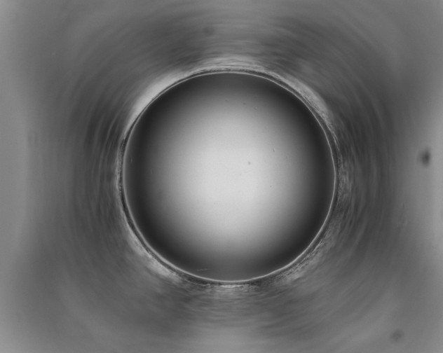 X0000091521390200708171207