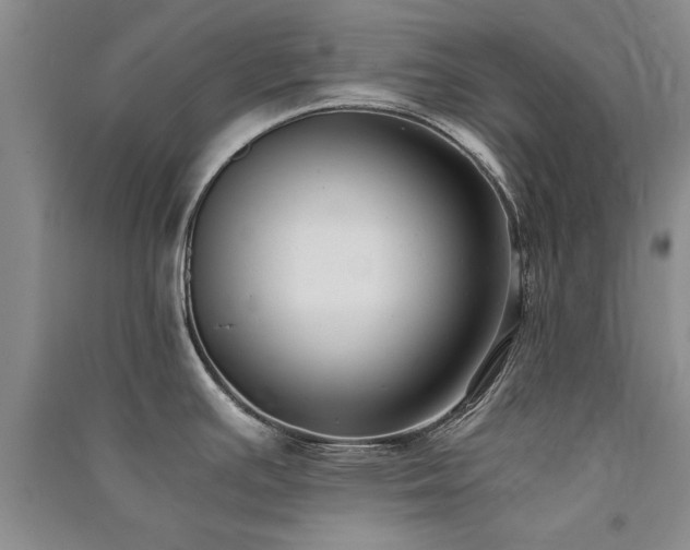 X0000091521391200708171207