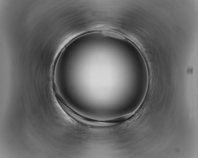 X0000091521392200708171207