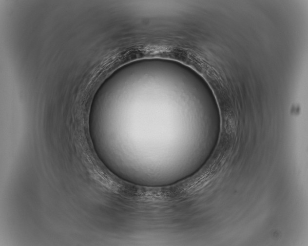 X0000091521393200708171207