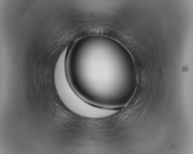 X0000091521394200708171207