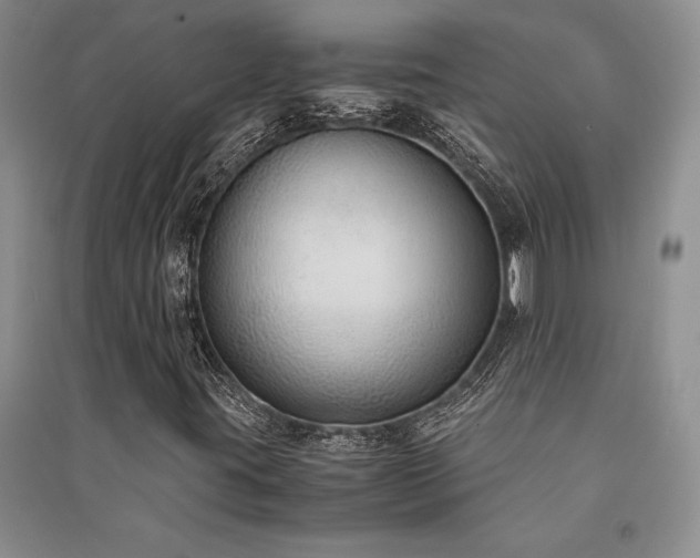 X0000091521395200708171207