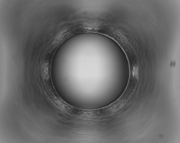 X0000091521396200708171207
