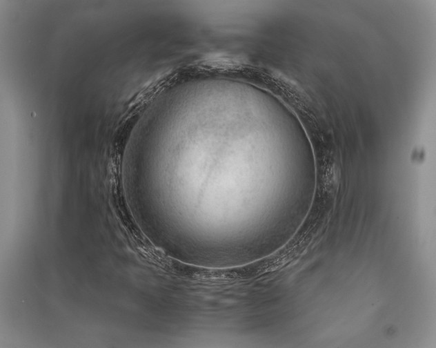 X0000091521397200708171207