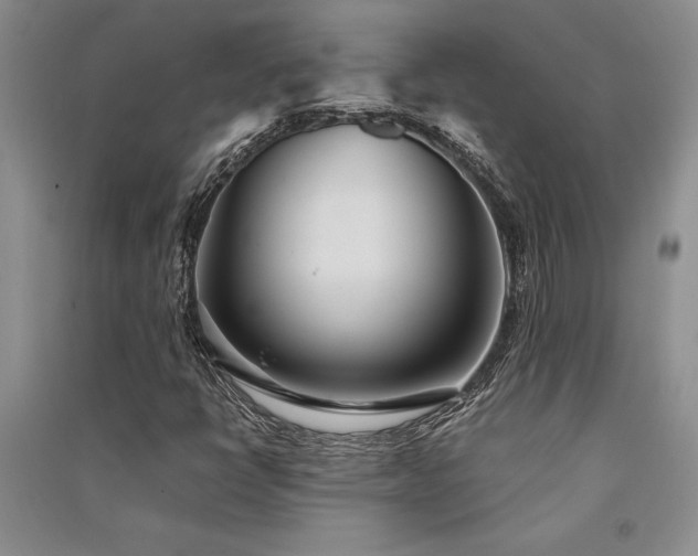 X0000091521398200708171207