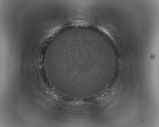 X0000091521399200708171207