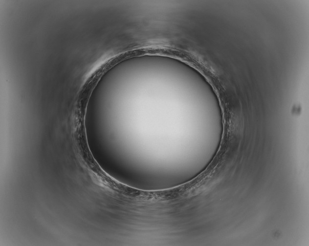 X0000091521400200708171207