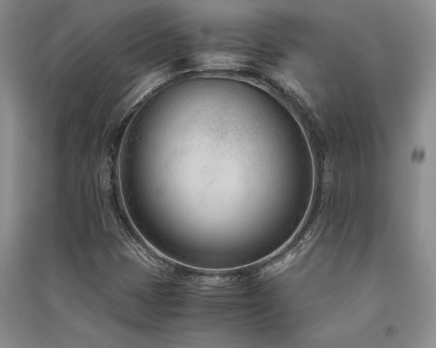 X0000091521401200708171207