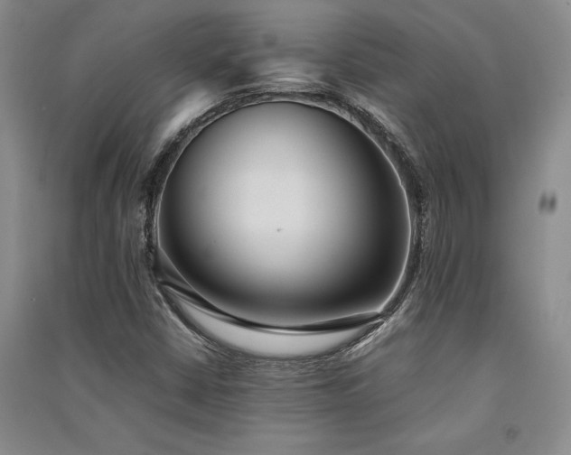 X0000091521402200708171207