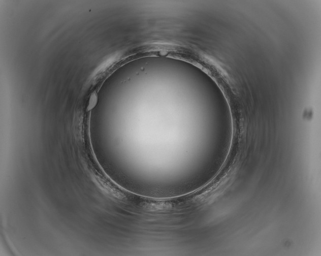 X0000091521403200708171207
